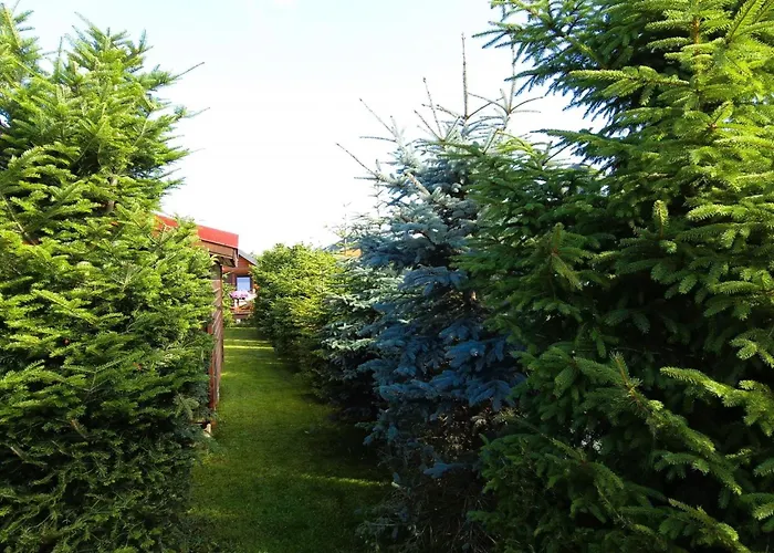 Holiday Home With Communal Pool By Interhome Vakantiehuis *